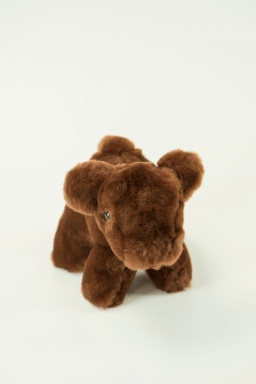 Mini Plush Calf Red Angus